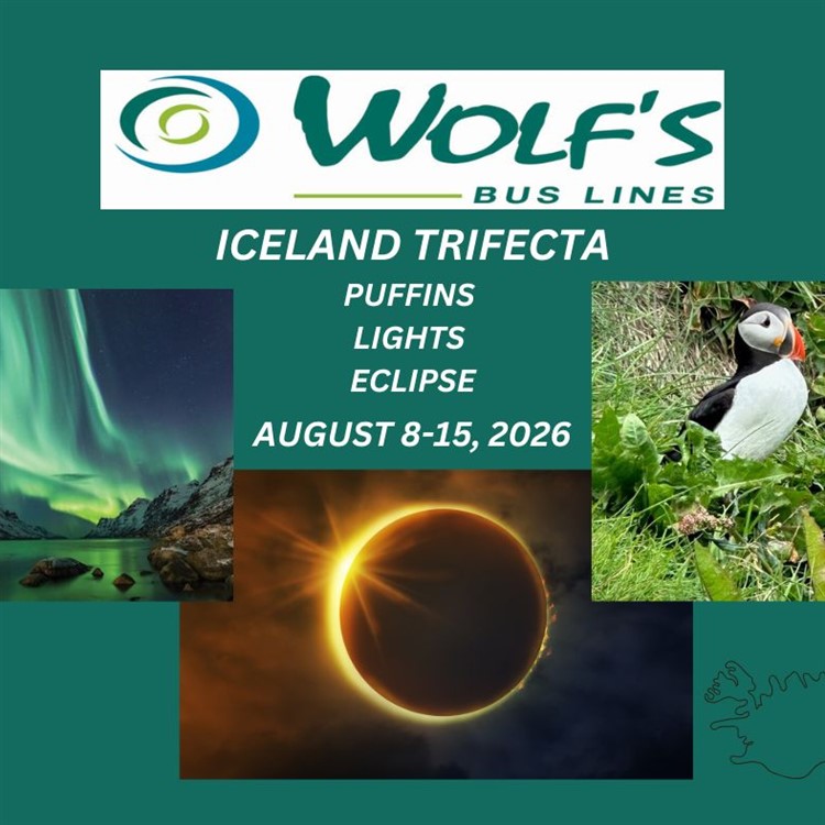 Iceland Trifecta - Puffins, Lights & Eclipse